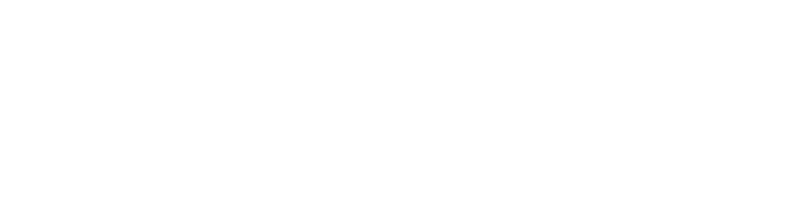 MAIDAS